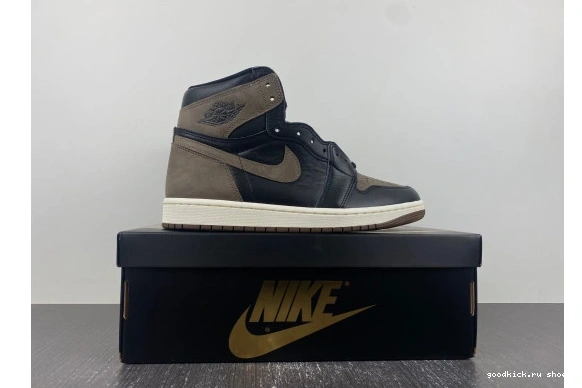 Jordan Palomino 1  Retro  DZ5485-020 DZ5485-020 OG  High 0429